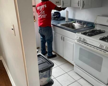 professional kitchen cabinets cleaning